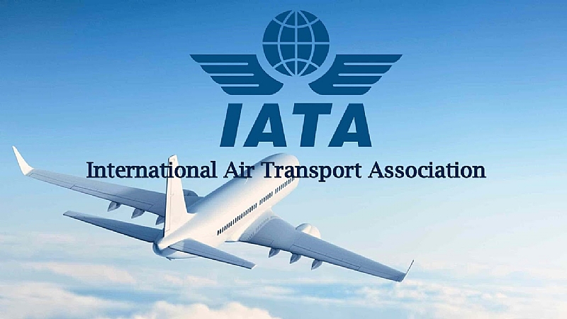 Air Cargo Posts 8 Strongest First Half Year Growth Since 2017 IATA