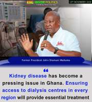 kidney