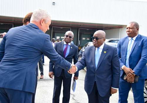 President Nana Akufo-Addo pays working visit to the Netherlands