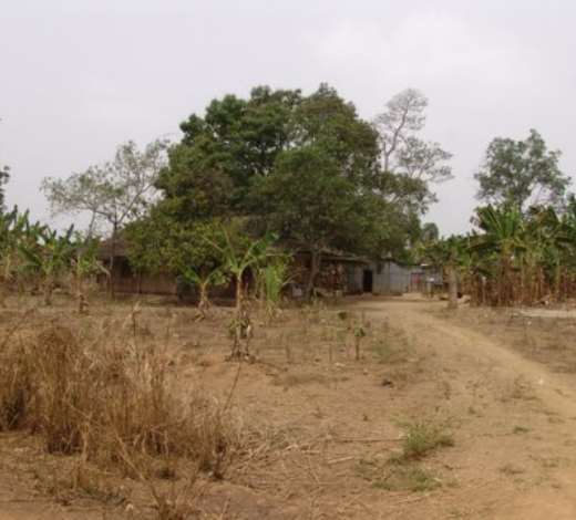 DSC09720