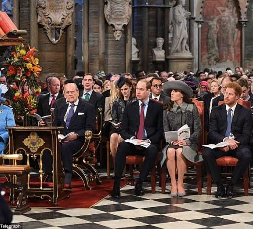 royal seat medium