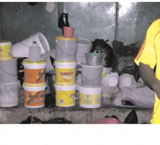 3. And they are very innovative. To make it easy to move their belongings around, they pack them in these containers so they can carry them to a safe place in the morning and bring it back at night.