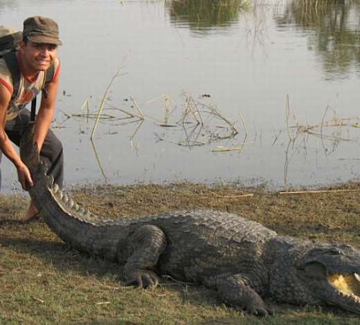 BIZARRE ATTRACTION FOR COURAGEOUS TOURISTS 09