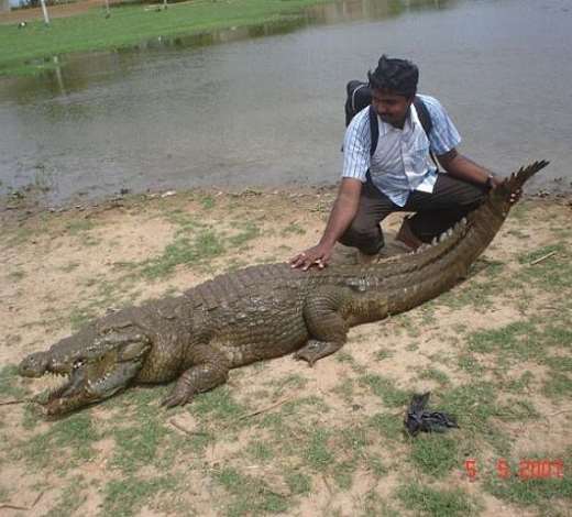 BIZARRE ATTRACTION FOR COURAGEOUS TOURISTS 16