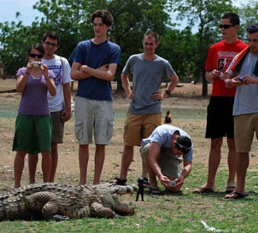 BIZARRE ATTRACTION FOR COURAGEOUS TOURISTS 04