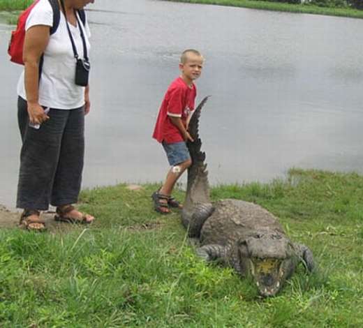 BIZARRE ATTRACTION FOR COURAGEOUS TOURISTS 11