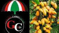 Education for Cocoa Farmers' Children Policy wins praise from NDC Gallant Cadres