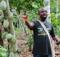 Cocoa farmers still trapped in poverty despite record prices - 2025 Cocoa Barometer