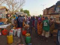 Upper East farmers call for urgent action to scale tomato production