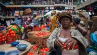 Burkina Faso tomato export ban an opportunity to fix Ghana’s agriculture — PFAG