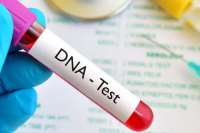 4 in every 10 men tested in 2025 were not biological fathers of their children – Report