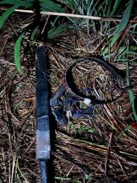 Suspected armed robber killed in Police operation in Bono East