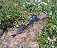 Two Fulani Herdsmen beheaded in Mame Krobo-Nkwanta