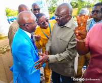 Collective efforts needed to win galamsey fight — Bawumia