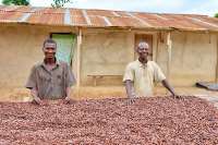 Bad cocoa harvests and high cost of living making farmers vulnerable in child labour fight – Report