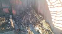 Kasoa: Baby dumped in garbage, set ablaze at Kumbe 