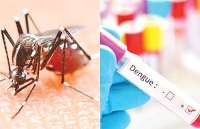 Dengue Fever Outbreak in Ghana linked to climate change and illegal mining