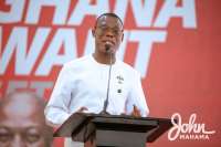 Election 2024 is between Ghana and the corrupt NPP — Fifi Kwetey