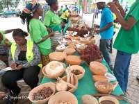 Two NGOs organize indigenous Seed Fair in Upper East Region