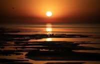 Planet trapped record heat in 2025: UN