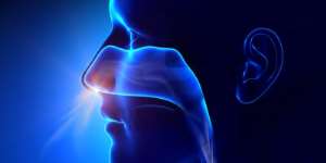 Loss Of Smell And Taste Validated As COVID-19 Symptoms In Patients With High Recovery Rate