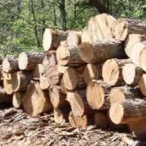 COVID-19: Forest Industries Appeal For Help To Access EU Market Via VPA-Flegt Processes