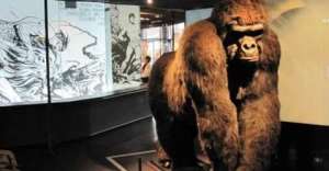 Gorilla welcome at the exhibition Tarzan! o&ugrave; Rousseau chez les Waziri presented at the Mus&eacute;e du Quai Branly, in September 2009.