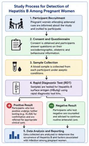 Figure 1: Study process for detection of Hepatitis B among pregnant women
