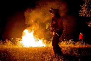 A dancer dressed as a Pan-like figure, half goat, half man, performs during the annual Joujouka Musical Festival.  By FADEL SENNA (AFP)
