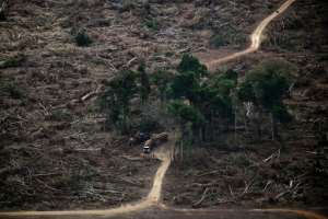 A deforested area in the Amazon rainforest, in the municipality of Tome-Acu, Brazil.  By Mauro PIMENTEL (AFP/File)