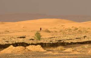 A man walks on dunes on October 26, 2016 near Moroccos southeastern oasis town of Erfoud, north of Er-Rissani in the Sahara Desert