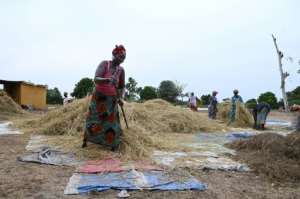 Africa accounts for 13 percent of the world population but 32 percent of global rice imports.  By SEYLLOU (AFP)