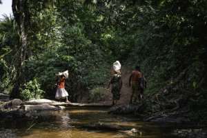 After four years of bureaucratic wrangling, villages making up the Yainyongo community in 2023 obtained two official concession titles, giving them control over 11,000 hectares of forest.  By Glody MURHABAZI (AFP)