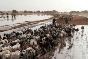 As global temperatures rise, extreme weather events will increase in frequency and intensity.  By GUY PETERSON (AFP)