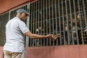 Bala Amarasekaran, an accountant by training, was by no means predestined for a life protecting young apes.  By PATRICK MEINHARDT (AFP)