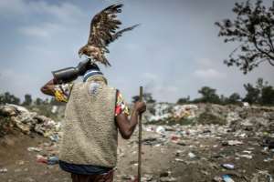 Birdman works at a garbage site with a Black Kite on his head.  By Luis TATO (AFP)