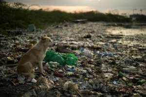By some estimates, a garbage trucks worth of plastic is dumped into the sea every minute.  By ARIF ALI (AFP/File)