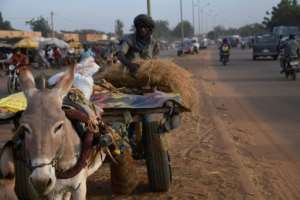Daily struggle: Seydou Haoudji, a farmer living in the food-stricken region of Tillaberi.  By Boureima HAMA (AFP)