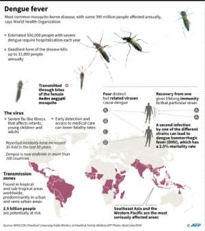 Factfile on dengue fever.  By Gal ROMA (AFP)