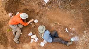 Dinosaurs remains from the same era had previously been found only in South America and India.  By Murphy Allen (Virginia Tech University/AFP)