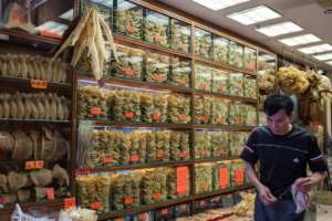 Dried shark fins and fish maws are sold in a shop in Hong Kong in March 2016.  By Anthony WALLACE (AFP/File)