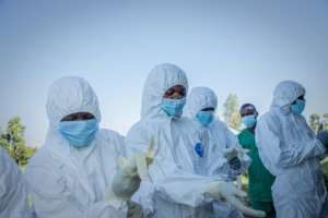 Ebola is spread by contact with bodily fluids and causes a haemorrhagic fever.  By Benediction MURHABAZI (AFP/File)