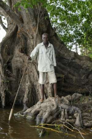 Crocodile hunting wanes but legends live on in DR Congo