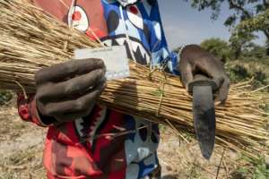 For people like Issene Abdoulkasim, 23, the mere act of obtaining a voter registration card is a challenge.  By Mariam KONE (AFP)