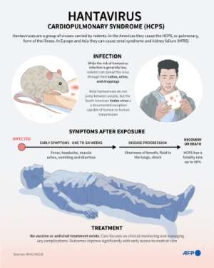 Hantavirus.  By Nicholas SHEARMAN (AFP)