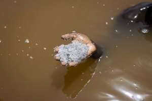 Heavy floods in 2022 left Lake Retba without its famous pinky hue.  By PATRICK MEINHARDT (AFP)