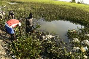 Hyacinth is easily gathered near the water's edge using long rakes.  By Simon MAINA AFP