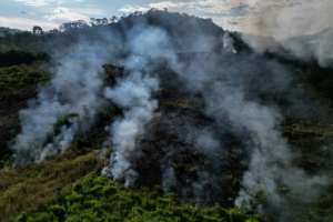 In 2024, forest fires ravaged nearly 18 million hectares of the Brazilian Amazon, driven by an unprecedented drought linked to climate change.  By Ivan PISARENKO (AFP/File)