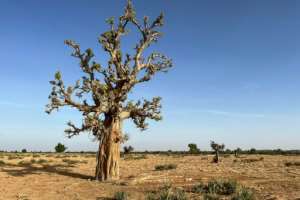 In west Africa, average temperatures have risen by between 1C and 3C since the mid-1970s, with the biggest increases recorded in the Sahara and Sahel.  By Leslie FAUVEL (AFP)