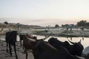 Lake Chad is a vital source of water and fishing